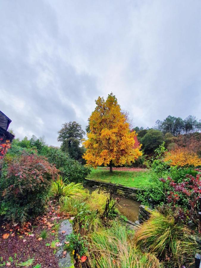 Moulin Menhirs & Zone Naturelle Protegee Saint-Just  Exterior foto